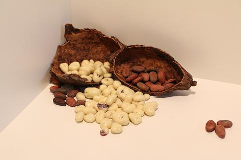 Cashew Nüsse in Zartbitterschokolade 200 g